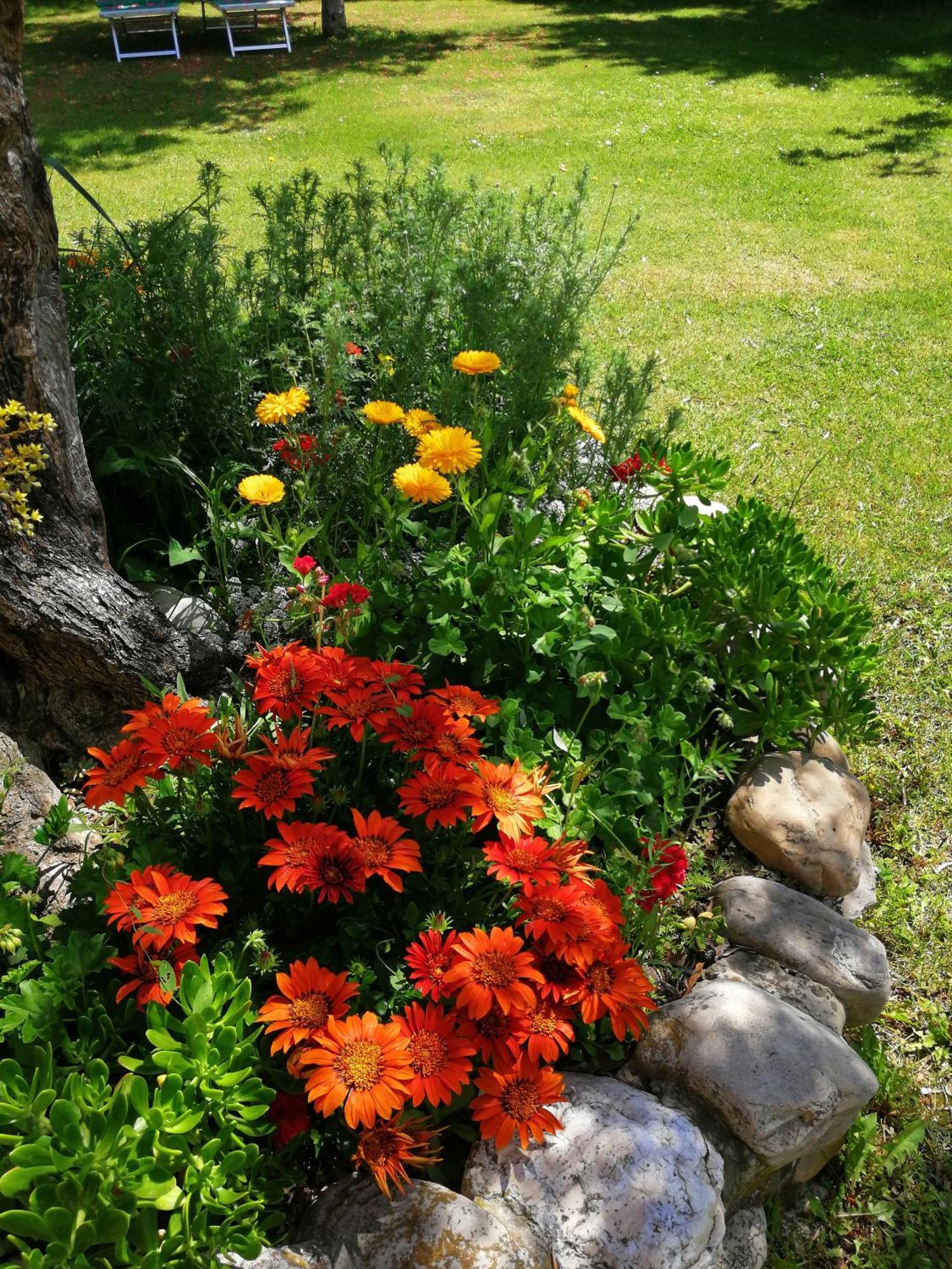 Agriturismo Terralieta Roseto Degli Abruzzi Bagian luar foto